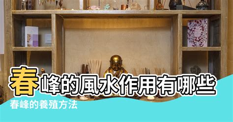 春峰風水|【春峰的風水作用】春峰的風水作用有哪些 